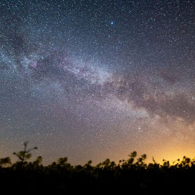 Symbolbild: Der Sternenhimmel leuchtet über einem Rapsfeld. 