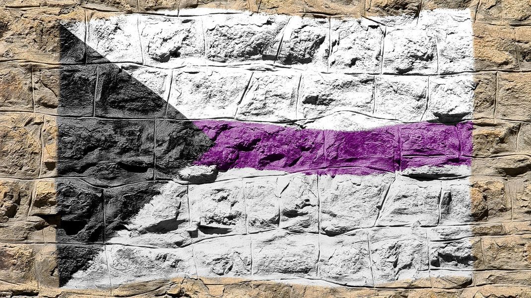 Demisexuelle Pride Flag: ein schwarzes Dreieck, an dessen Spitze ein lila Streifen zwei weiße Farbflächen trennt.