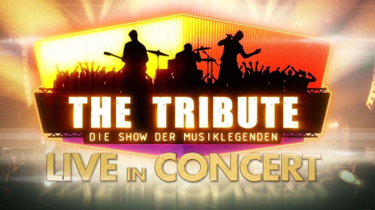 Die vier Finalisten der SAT.1-Show “The Tribute – Die Show der Musiklegenden” am 19. Oktober 2024 live in Bochum