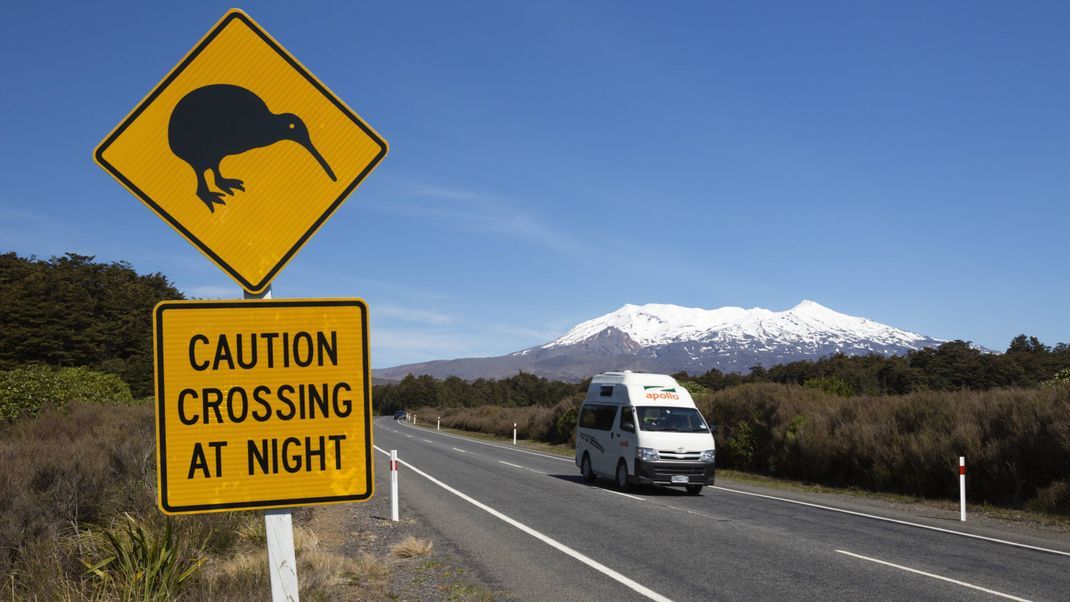 Schilder an Neuseelands Straßen sollen Autofahrer:innen warnen und Kiwis schützen, damit sie nicht unter die Räder kommen.