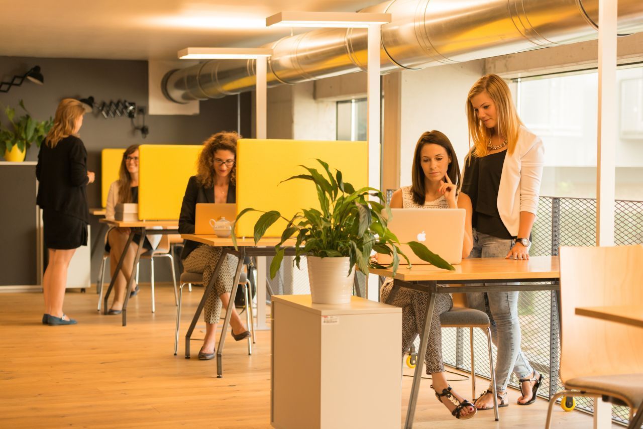 Co-Working Spaces verwandeln die Lobby in ein Gemeinschaftsbüro im Hotel "Schani" in Wien.