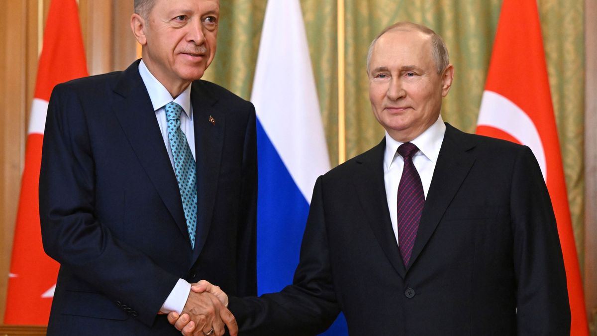 Recep Tayyip Erdogan und Wladimir Putin