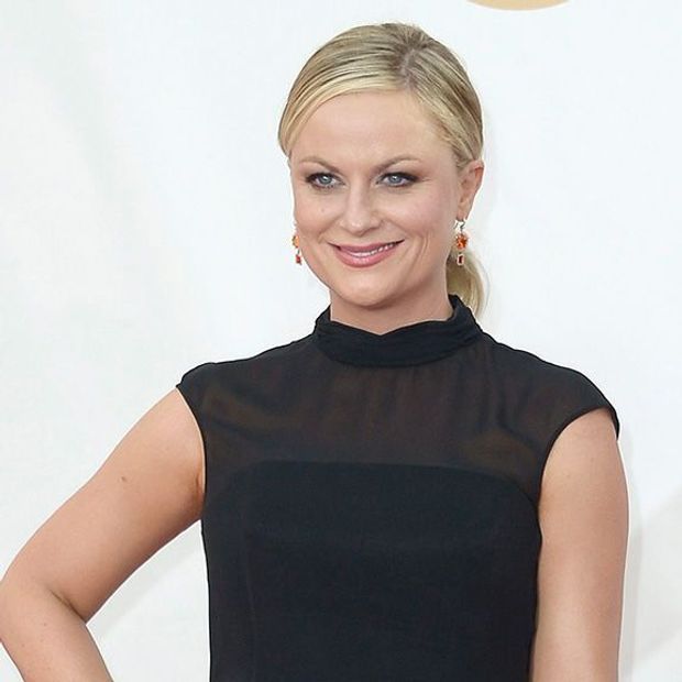 Amy Poehler Image