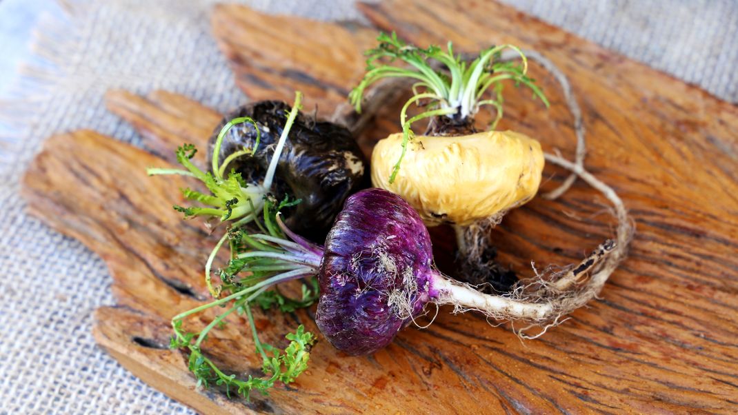 Maca, oder auch Peruanischer Ginseng genannt, ist ein gutes Nahrungsergänzungsmittel