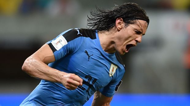 
                <strong>Edinson Cavani (Uruguay)</strong><br>
                Edinson Cavani (Uruguay): Das Sturmduo von Uruguay kann sich sehen lassen. Auch Edinson Cavani wird bei der Copa America auflaufen. Der Spieler von Paris St. Germain machte in 80 Länderspielen insgesamt 30 Tore.
              