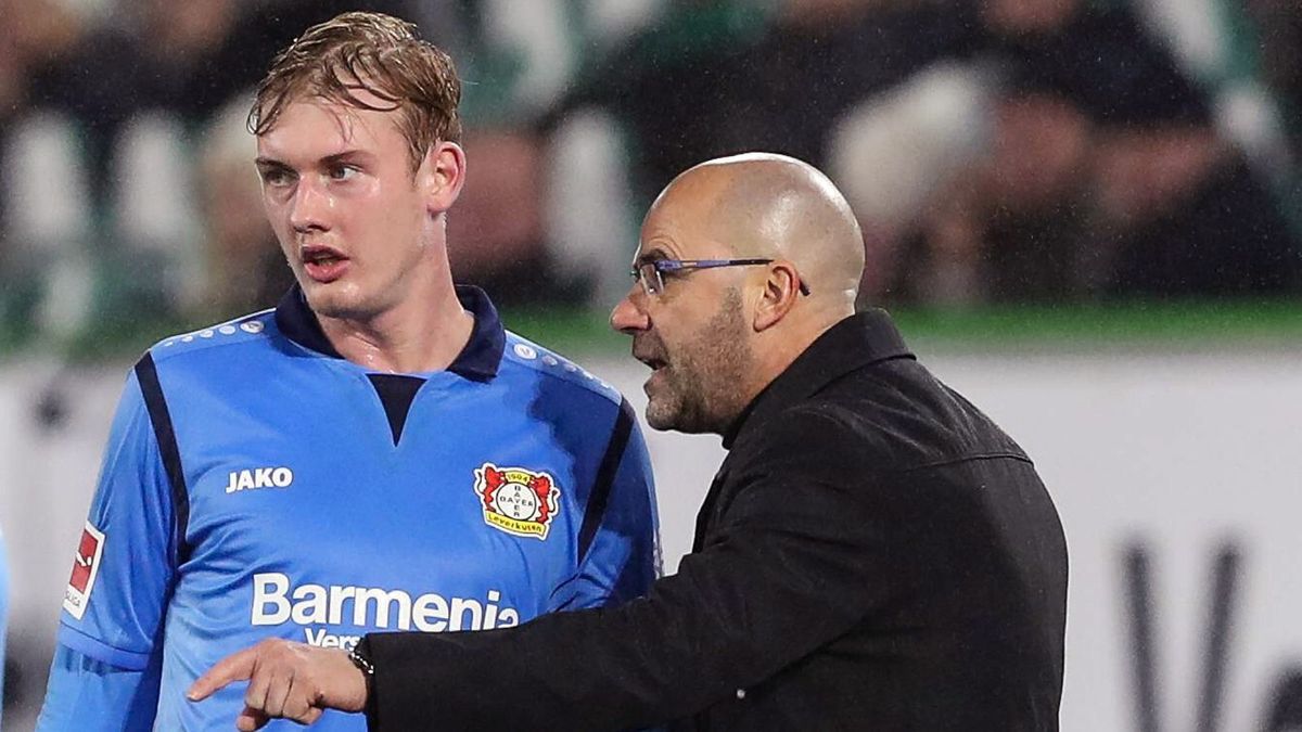 Hat in Leverkusen viele Freiheiten: Julian Brandt (li.)
