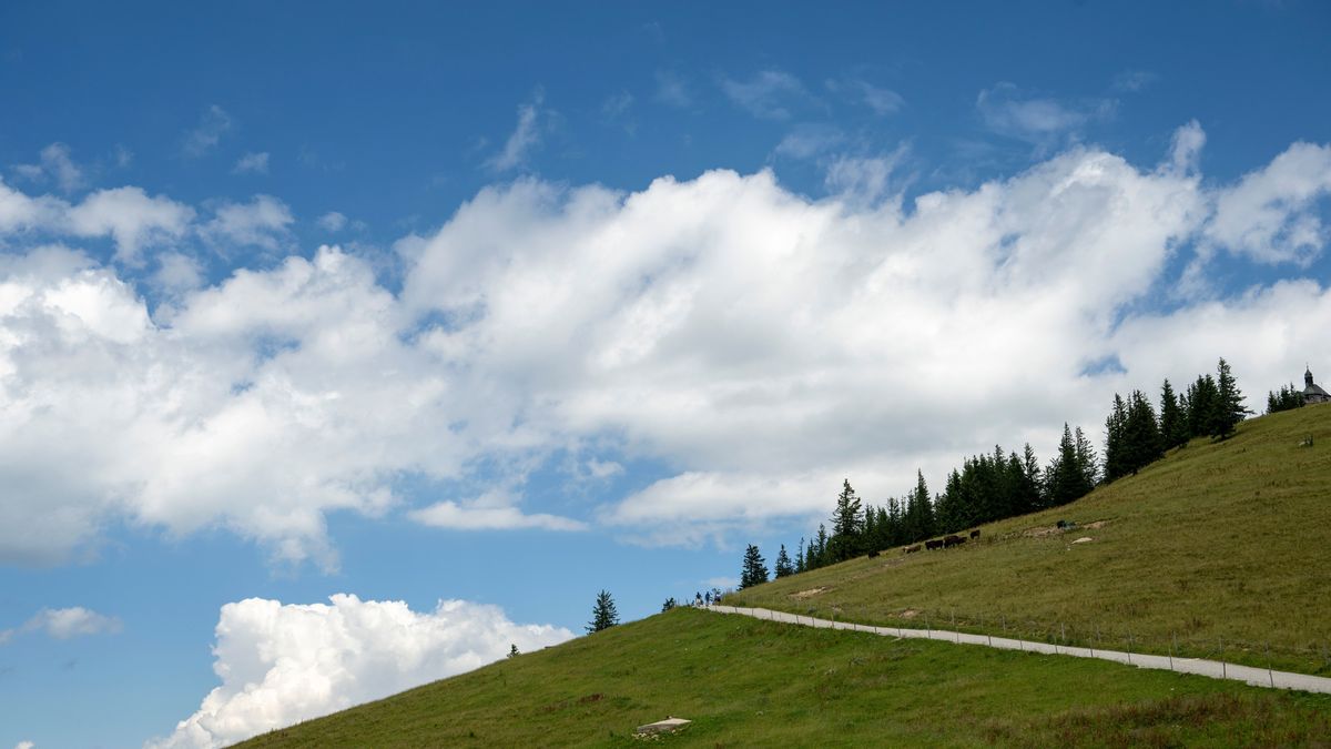 Wanderer gehen am Wallberg.