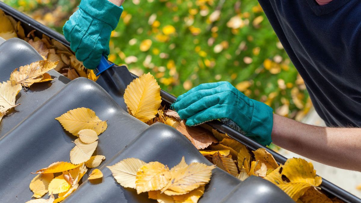 Man cleaning the gutter