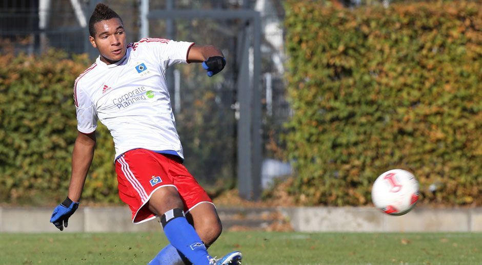 
                <strong>Hamburger SV </strong><br>
                Ein Spieler: Jonathan Tah
              