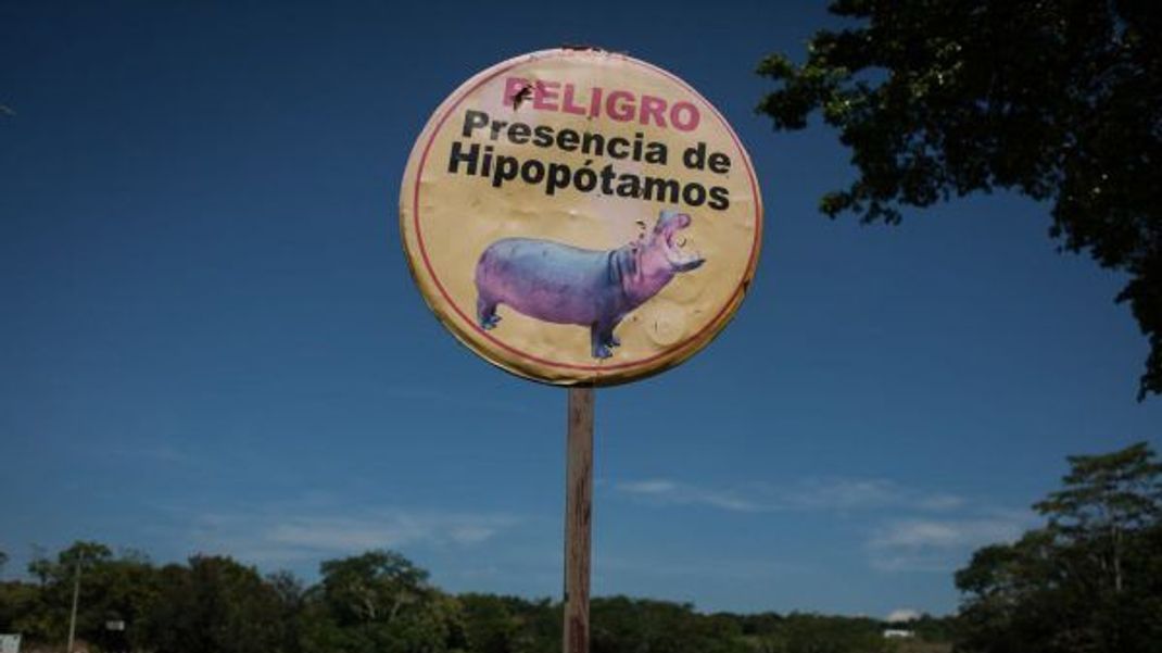 "Vorsicht Flusspferd": Schilder warnen vor Escobars Hippos.