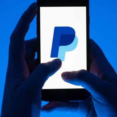 PayPal-Betrug mit Gastkonto