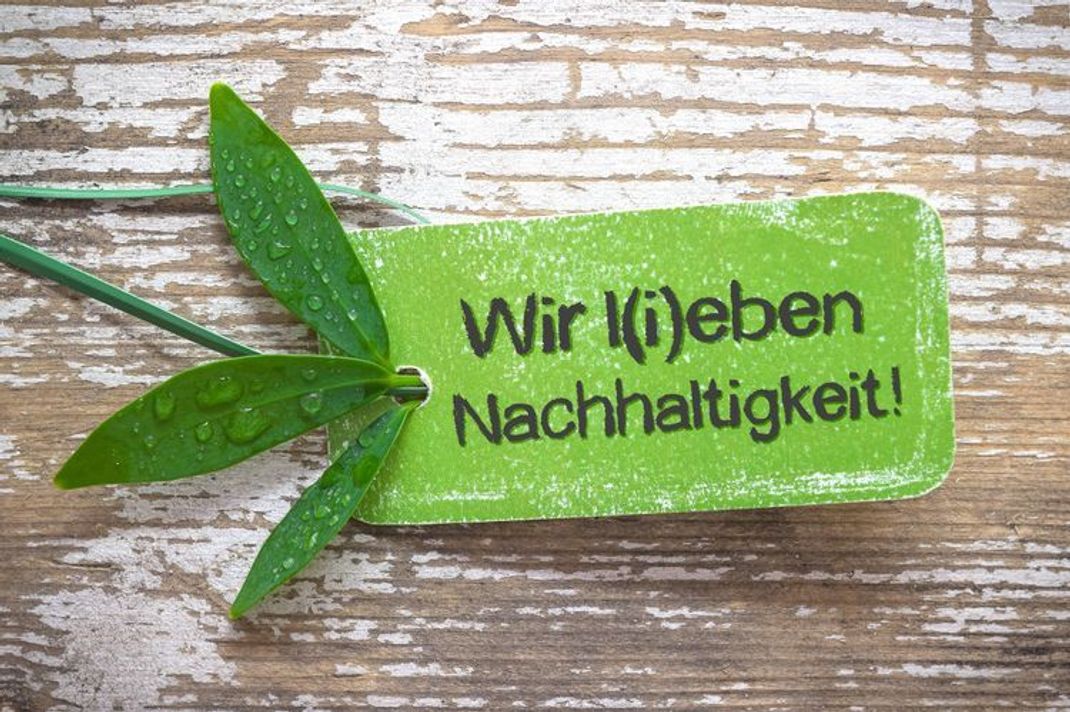 Nachhaltige Start-Ups: Geschäftsideen, die clever und umweltschonend sind
