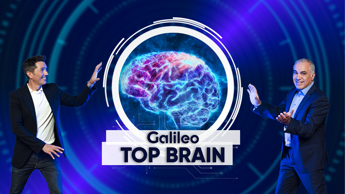 Galileo Top Brain