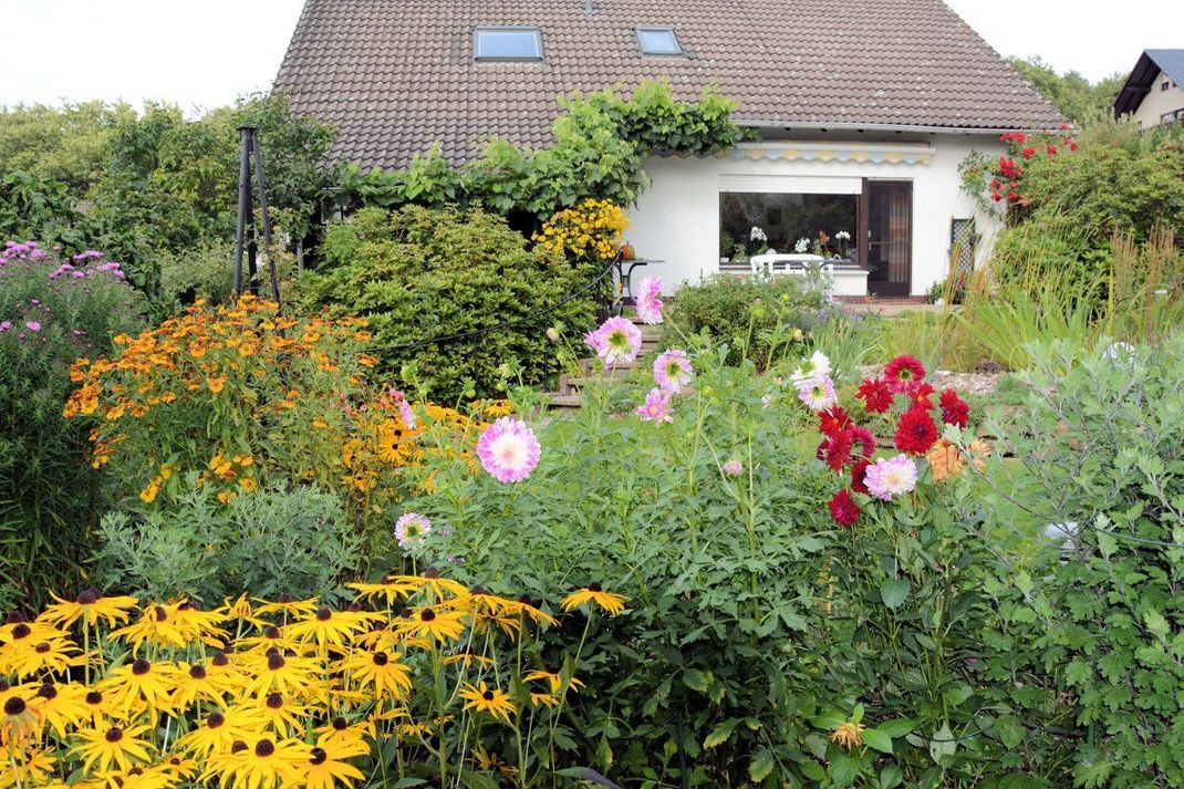 Wer bei Stauden und Pflanzen ohne Blüten denkt, braucht dringend ein wenig Nachhilfe, denn Astern, Sonnenblumen und Co. blühen vor allem im Herbst nur so um die Wette.