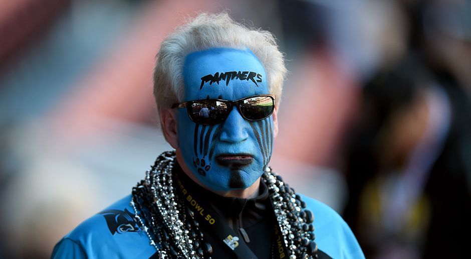 
                <strong>Platz 10: Carolina Panthers</strong><br>
                Platz 10: Carolina Panthers.
              