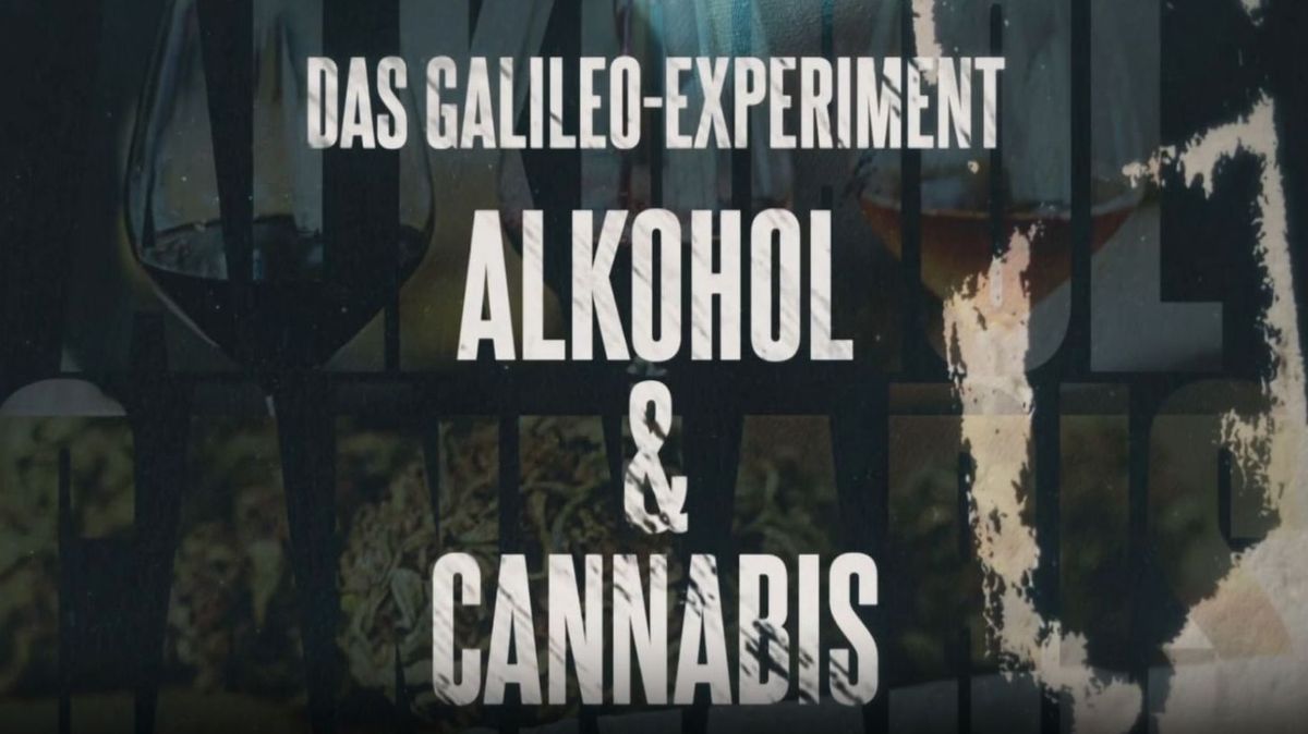 Das Galileo-Experiment: Alkohol vs. Cannabis