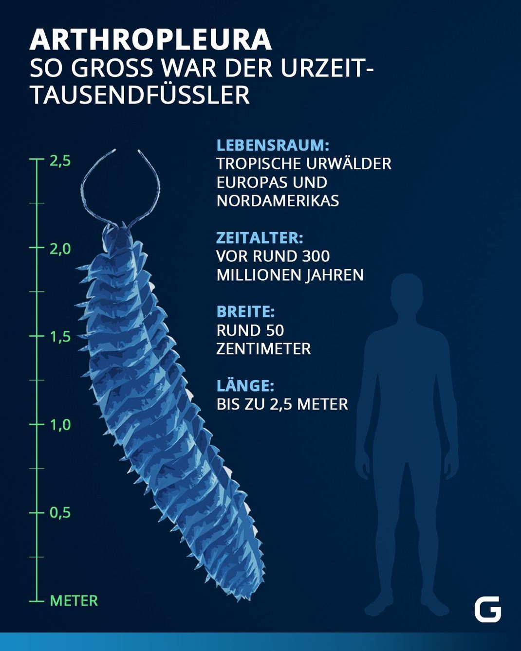 So groß war der Urzeit-Tausendfüssler