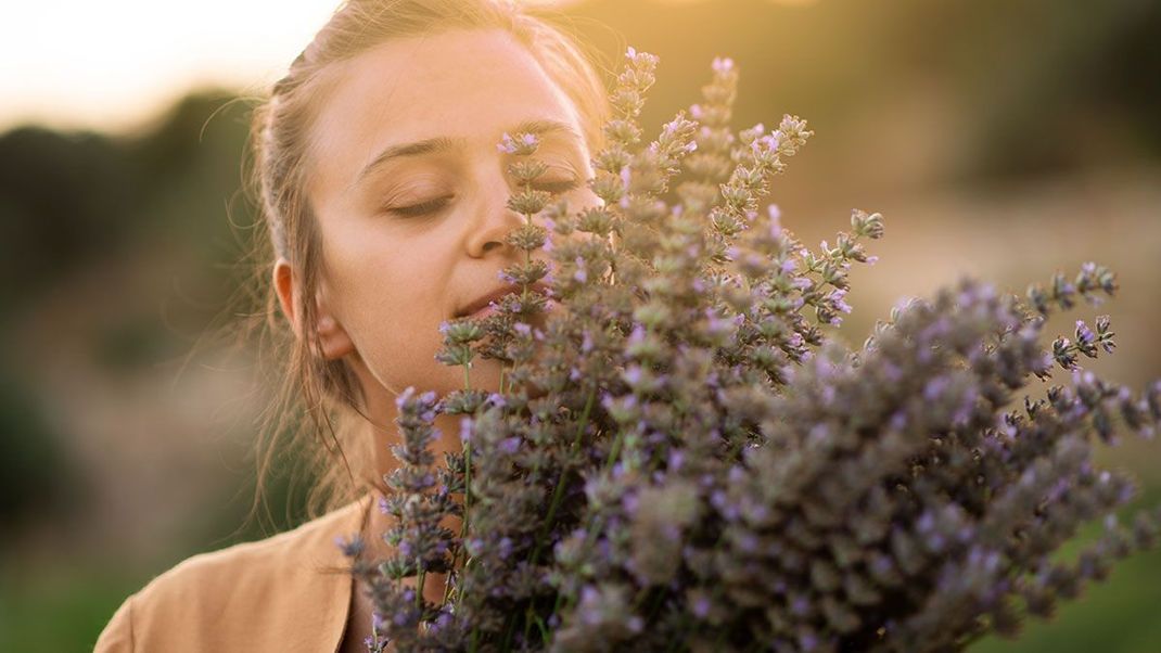 Lavendel kann bei trockener Kopfhaut und Schuppen helfen – allerdings solltet ihr bei blonden Haaren auf diese Zutat in eurer DIY-Haarspülung eher verzichten.