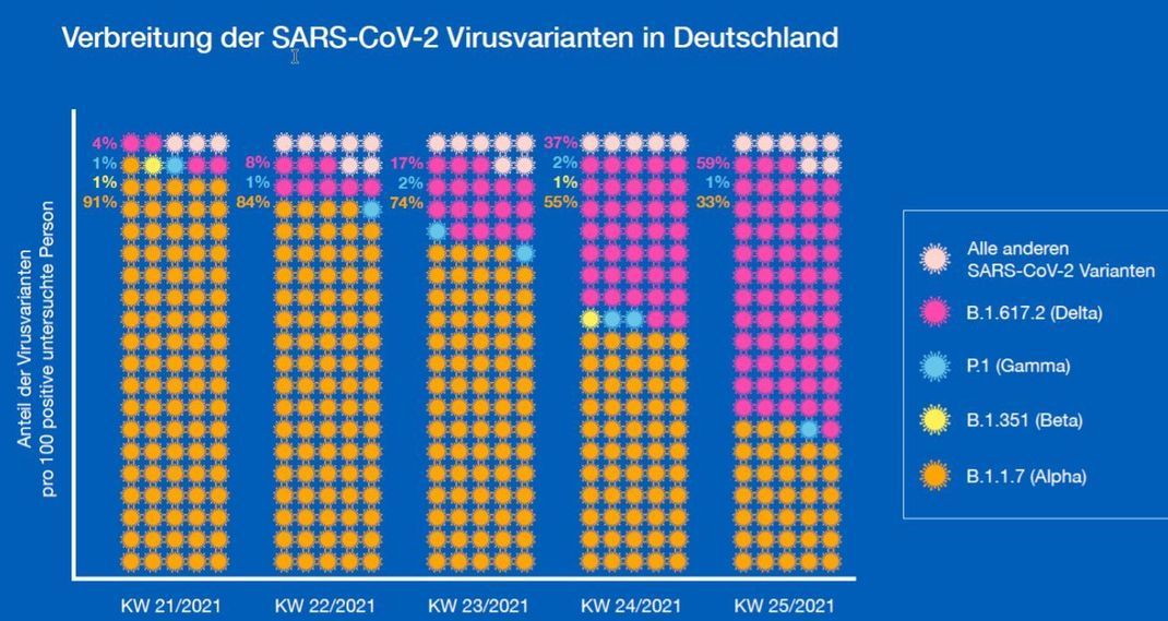 Die Grafik stammt aus dem Bericht des Robert Koch-Instituts zu Virus-Varianten von SARS-CoV-2 in Deutschland vom 7. Juli.