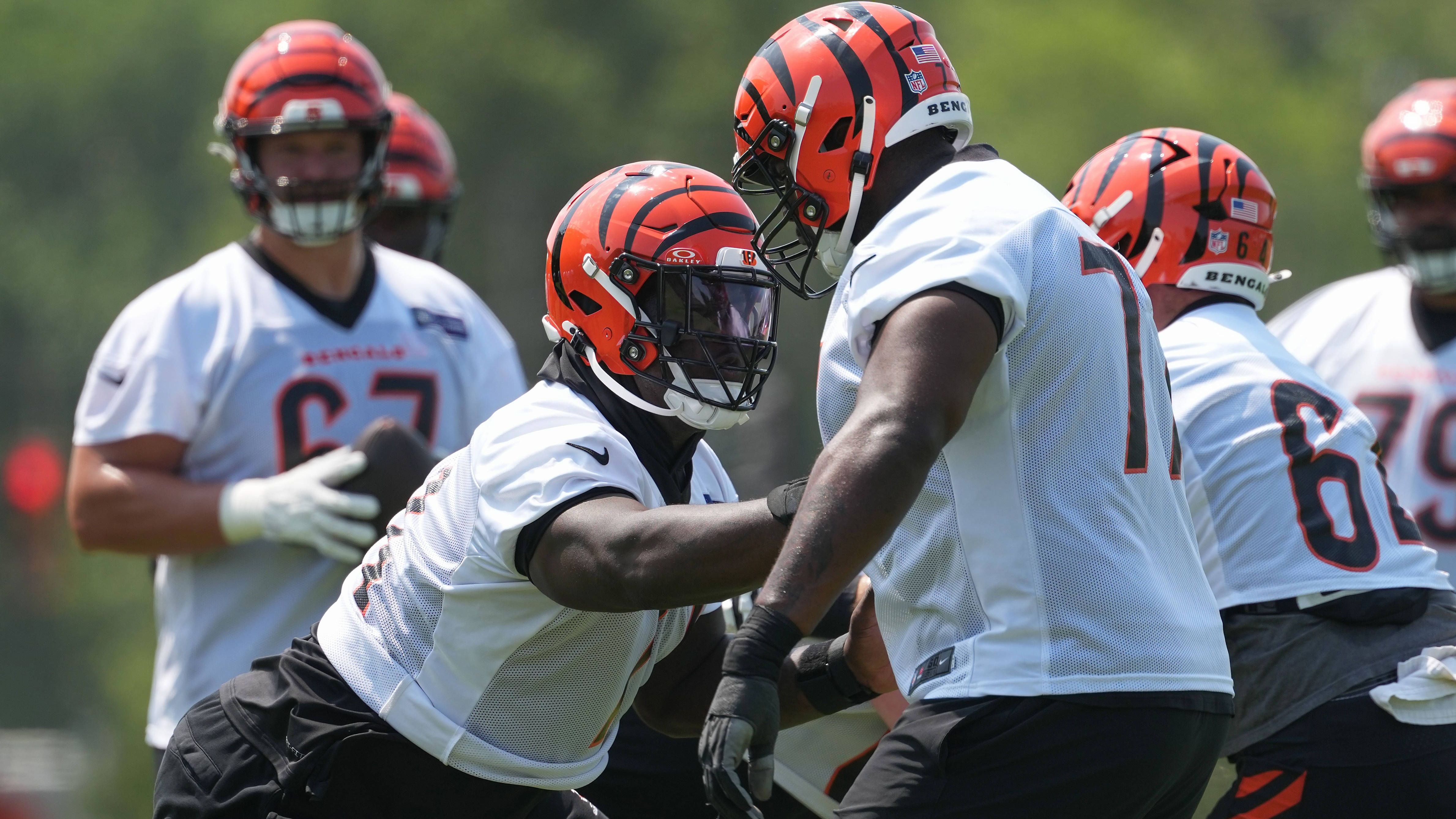 <strong>Cincinnati Bengals</strong><br>Anzahl Unentschieden: 5