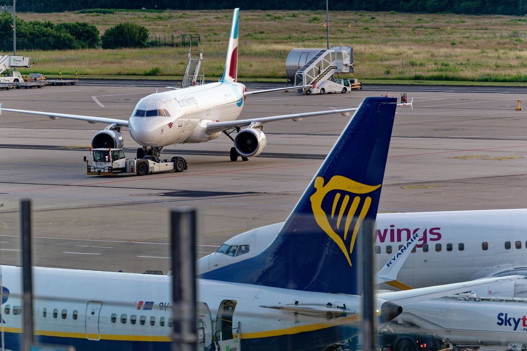 Der Billigflieger Ryanair rechnet mit niedrigeren Ticketpreisen.