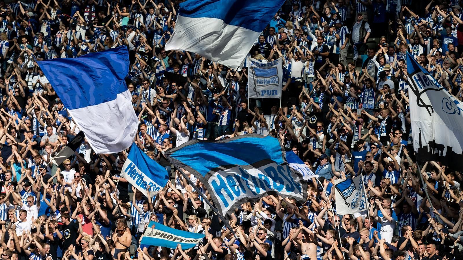 
                <strong>Platz 10: Hertha BSC</strong><br>
                36.050 Mitglieder
              