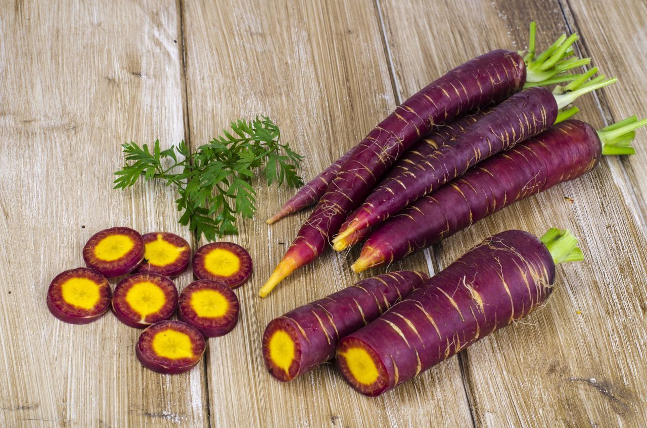 Purple Haze: Sie entstand aus einer Rückkreuzung mit einer violetten Ur-Möhre. Du kannst sie gut roh essen,  entsaften oder zu Suppen etc. verarbeiten. Violette Rüben sind aromatisch und die süßesten aller Karotten-Sorten. Gut zu wissen: Lila Sorten verlieren beim Kochen ihre Außenfarbe.