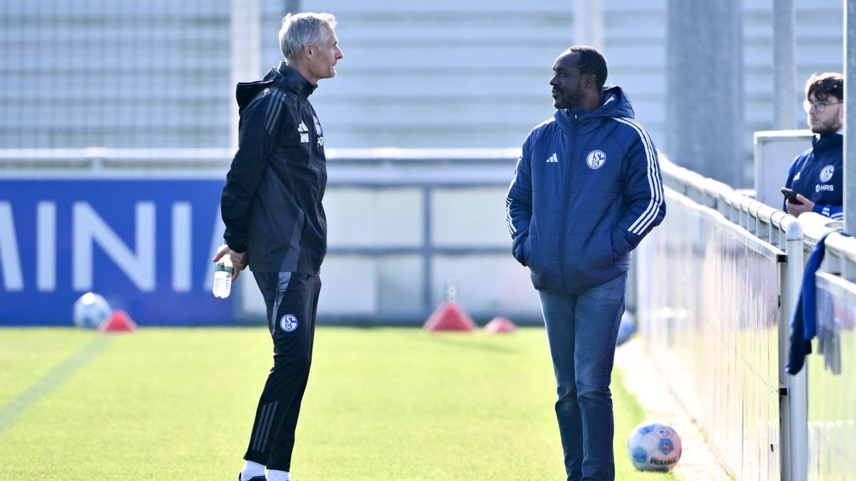 Trainer Kees van Wonderen (FC Schalke 04), li., und Ben Manga (Sportdirektor Schalke 04) 15.10.2024, Fussball Saison 2024 2025, 2. Bundesliga, Training FC Schalke 04 Gelsenkirchen Trainingsgelände ...