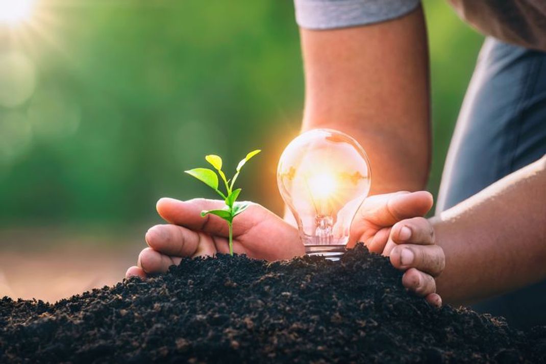 Energiesparen im Haushalt – 10 einfache Tricks