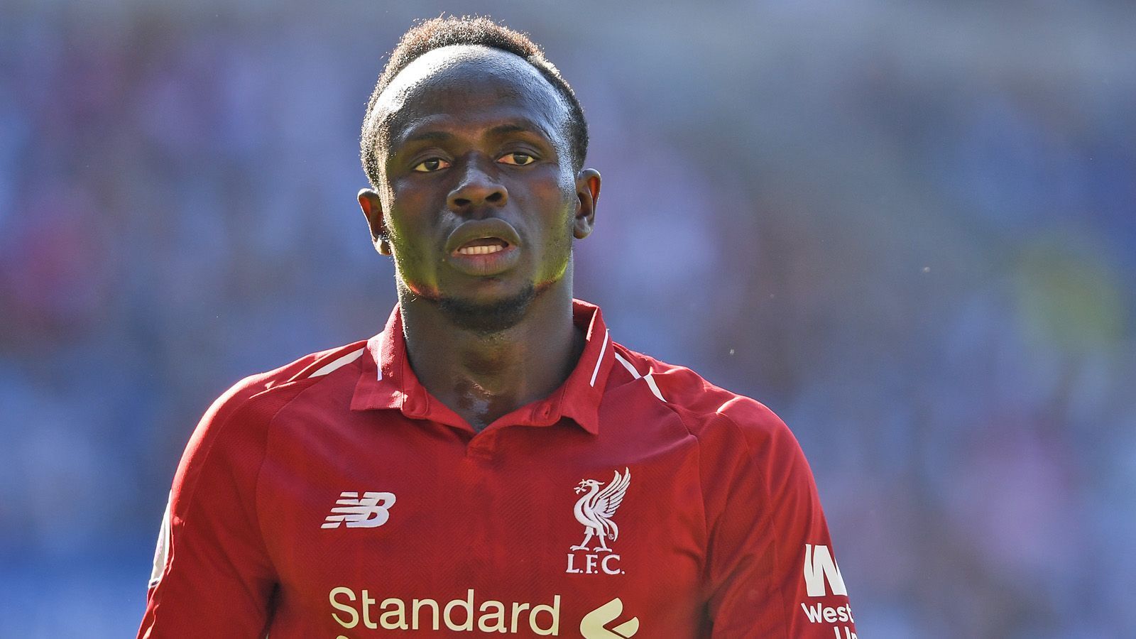 
                <strong>Sadio Mane (FC Liverpool)</strong><br>
                Nationalmannschaft: SenegalLänderspiele: 60Länderspieltore: 16Position: Linksaußen
              