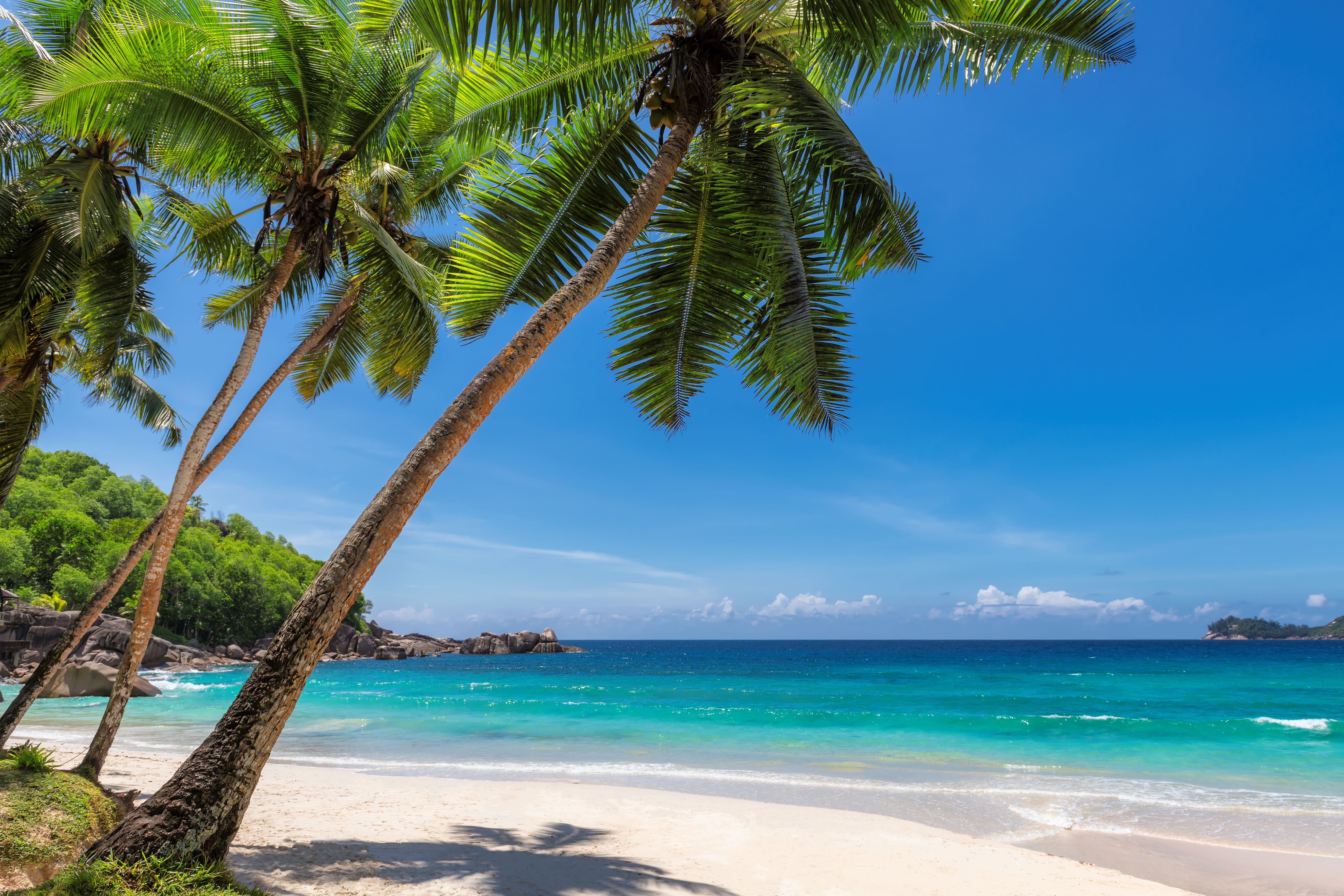 Mimpi: Anda bisa bersantai, berjemur, atau snorkeling di pantai di Jamaika.