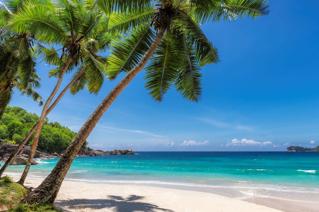 Ein Traum: Am Strand von Jamaika kannst du entspannen, sonnen oder schnorcheln.&nbsp;