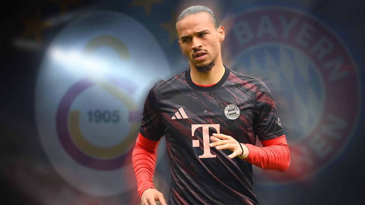 Sane