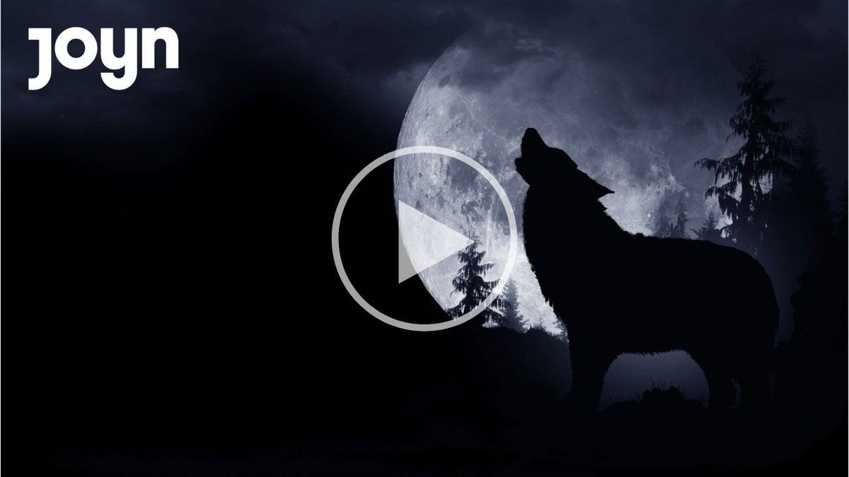 Wolf vor Mond