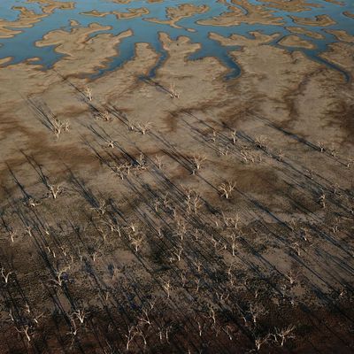 Die Anzeichen für eine Wiederkehr des Wetterphänomens El Niño mehren sich - weltweit.