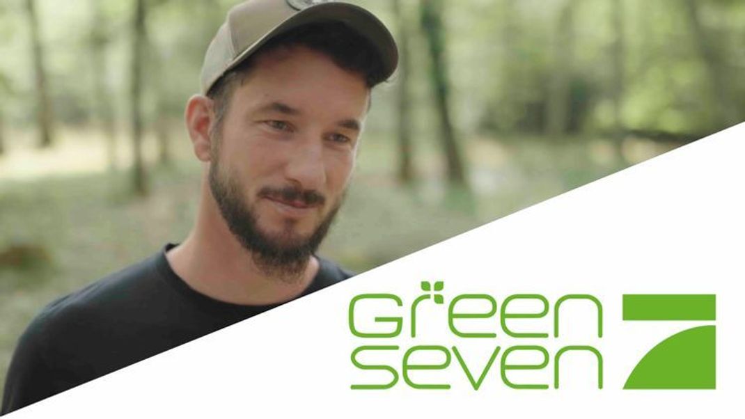 Green Seven Week: Wie Pferde zu nachhaltigen Forstarbeitern werden