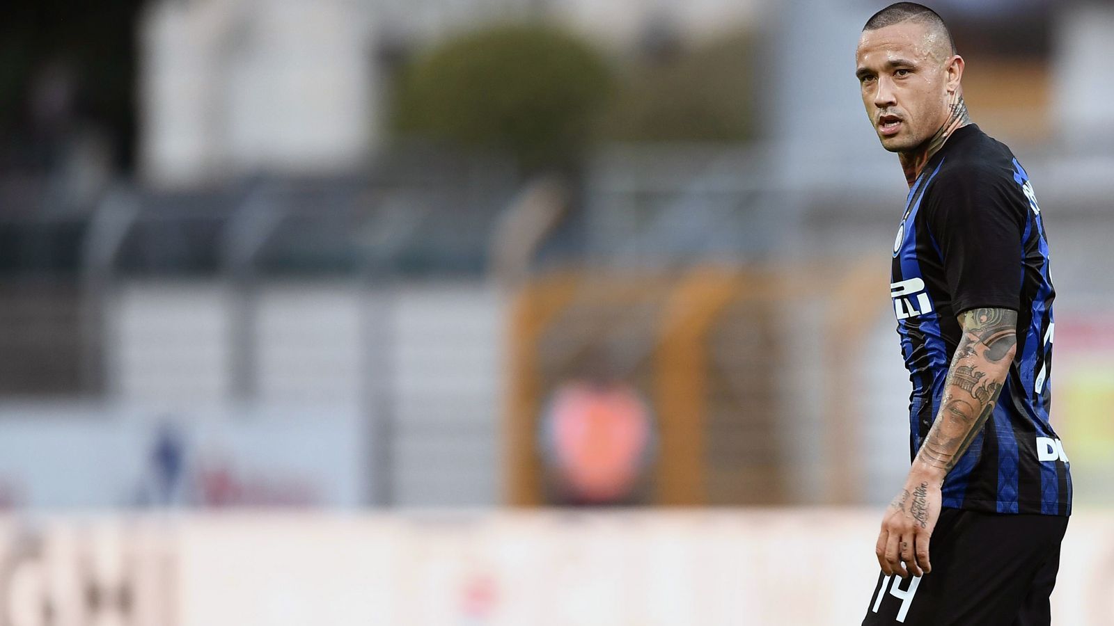 
                <strong>Radja Nainggolan (Inter Mailand)</strong><br>
                Rückennummer: 14Transferiert von: AS Rom
              