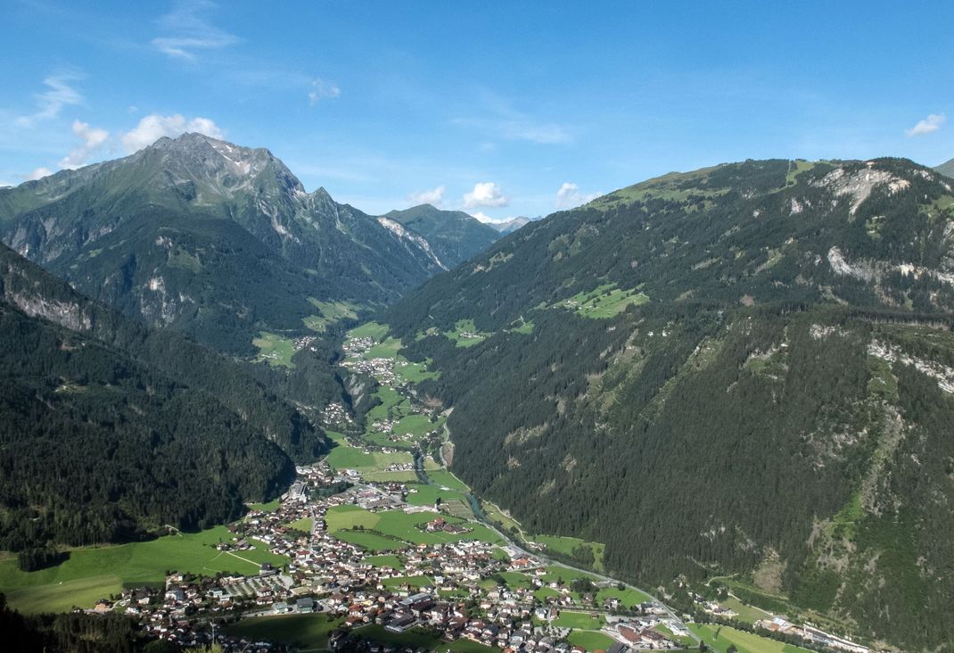 Auf einer Wanderung in Mayrhofen im Zillertal ist eine Frau von Wespen angegriffen worden.