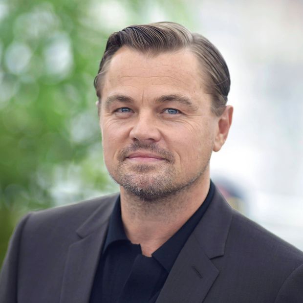 Leonardo DiCaprio Image