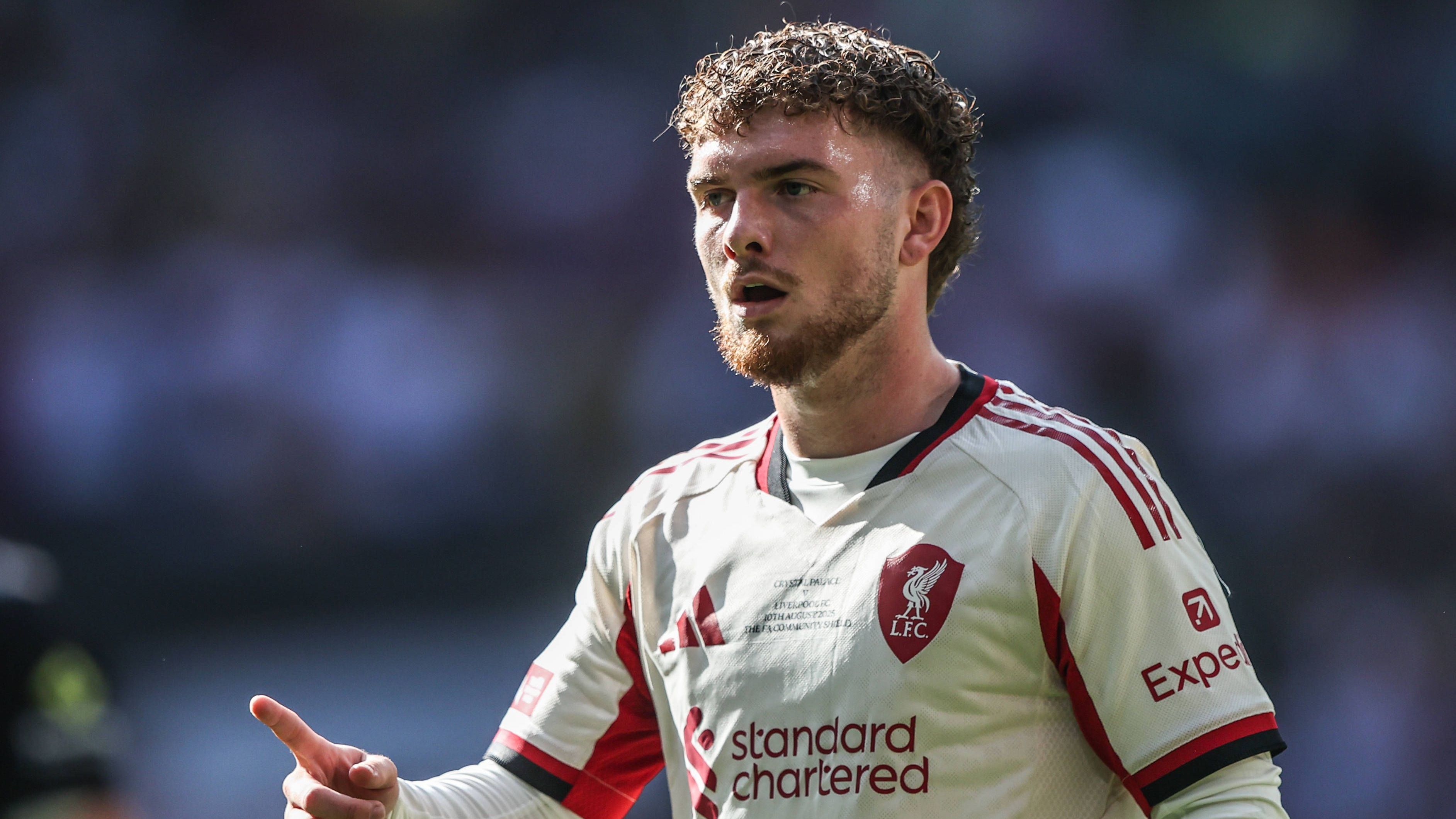<em><strong>Harvey Elliott (FC Liverpool)</strong><br>Harvey Elliott soll offen für einen Wechsel zu RB Leipzig sein, berichtet "Sky". Mit dem 22-jährigen Liverpool-Talent stehen die Sachsen wohl bereits kurz vor einer Einigung. Erst danach würden konkrete Gespräche mit den "Reds" folgen. Die Ablöse könnte dabei über 50 Millionen Euro liegen und durch den wahrscheinlichen Abgang von Xavi Simons finanziert werden.</em>