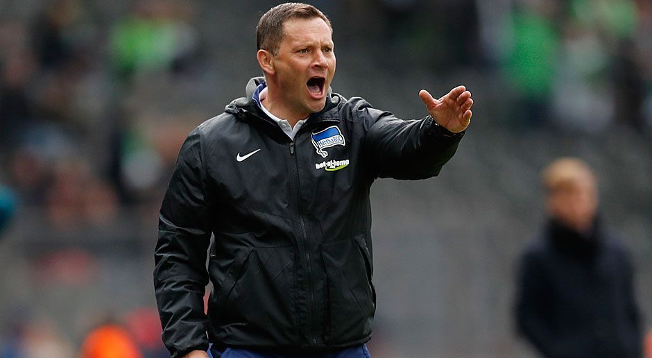 
                <strong>Pal Dardai (Hertha BSC)</strong><br>
                unbefristeter Vertrag (kann jederzeit in Jugendbereich zurückkehren), bisherige Stationen als Cheftrainer: Hertha BSC (Jugend), Ungarn
              