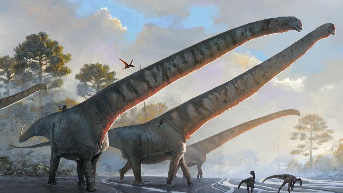 Mamenchisaurus Sinocanadorums Dinosaurier Neuer Fund Hals E 1678972556670