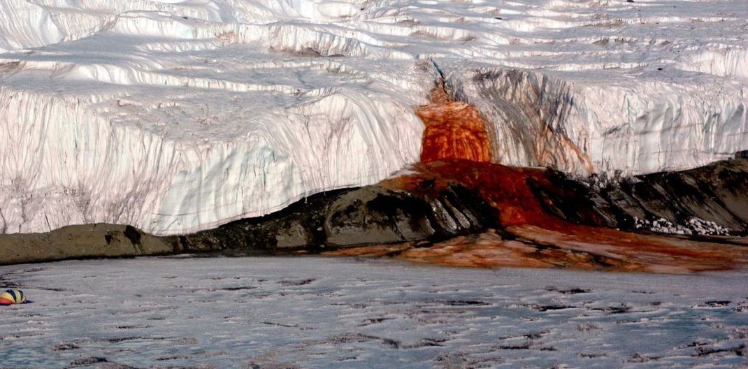 Über 100 Jahre rätselten Fachleute über einen Wasserfall in einem Gletscher in der Antarktis. Nun haben sie die Erklärung für die Blood Falls gefunden.