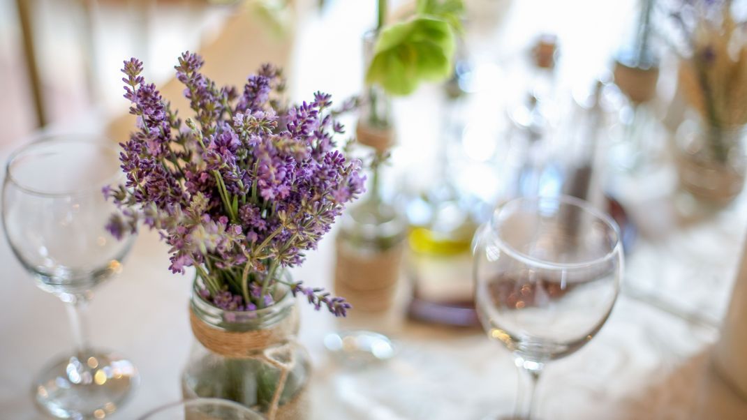 Lavendel soll die lästigen Insekten fern halten und versprüht einen angenehmen Duft.