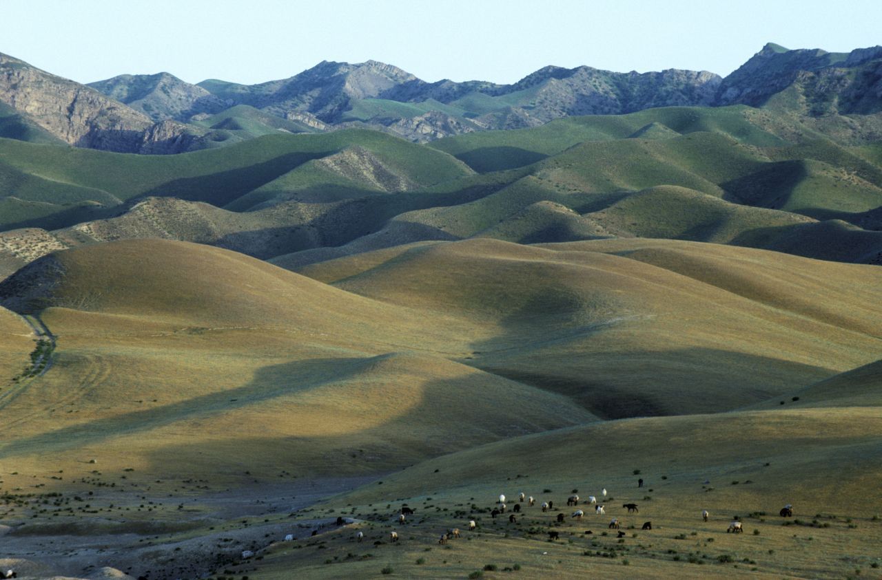 Steile Felswände, tiefe Schluchten, grüne Täler - der Gebirgszug an der Grenze zu Usbekistan ist ein Eldorado für Wanderer und Natur-Fans. Im Köýtendag (oder Kugitangtau) ragt auch der höchste Berg des Landes in den Himmel: der Aýrybaba mit 3.139 Metern. Hierher ziehen sich unter anderem Turkmenische Wildziegen, Indische Stachelschweine und Persische Leoparden zurück. Und dann gibt es da noch ein Plateau, auf dem sich verstei