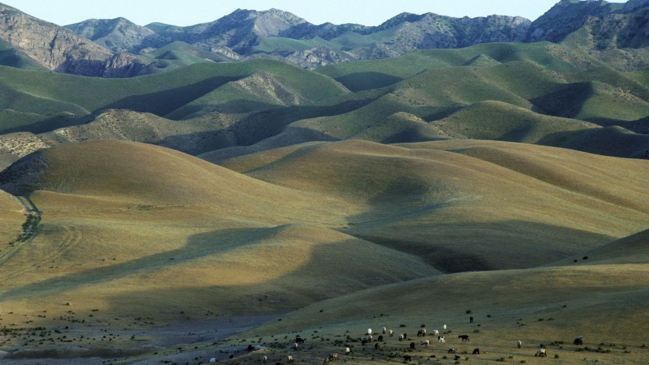 Steile Felswände, tiefe Schluchten, grüne Täler - der Gebirgszug an der Grenze zu Usbekistan ist ein Eldorado für Wanderer und Natur-Fans. Im Köýtendag (oder&nbsp;Kugitangtau) ragt auch der höchste Berg des Landes in den Himmel: der Aýrybaba mit 3.139 Metern. Hierher ziehen sich unter anderem Turkmenische Wildziegen, Indische Stachelschweine und Persische Leoparden zurück.&nbsp;