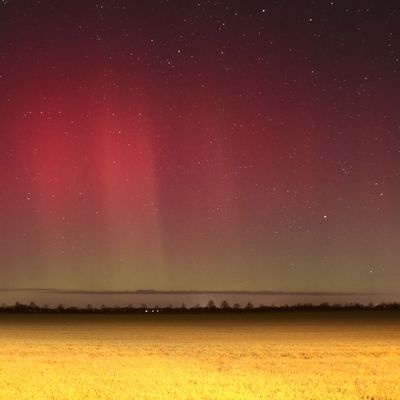 Polarlichter über Brandenburg