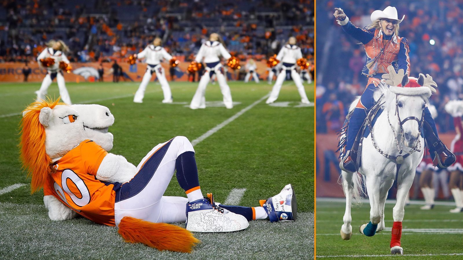 
                <strong>Denver Broncos: Miles und Thunder II</strong><br>
                Wie die Browns setzen auch die Denver Broncos auf die Kombination Plüschtier/lebendiges Tier. Thunder II ist ein Araber-Hengst, der von einer Cheerleaderin geritten wird. Miles hingegen ist ein mannsgroßes Plüschpferd.
              