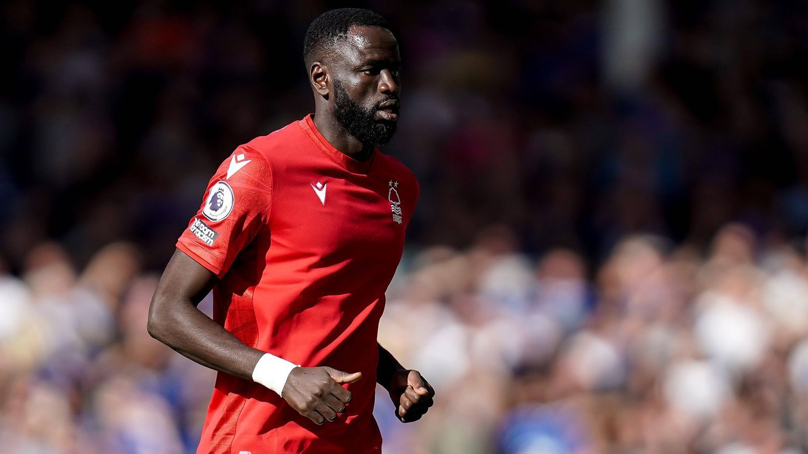 
                <strong>Cheikhou Kouyate</strong><br>
                Mit dem 32-jährigen Cheikhou Kouyate konnte Nottingham einen Routinier für das Mittelfeld verpflichten. Der Senegalese kam ablösefrei von Crystal Palace zum Premier-League-Aufsteiger und hat die Erfahrung von über 250 Einsätzen in Englands Fußball-Oberhaus vorzuweisen. Der Nationalspieler unterschrieb einen Vertrag bis 2024. 
              