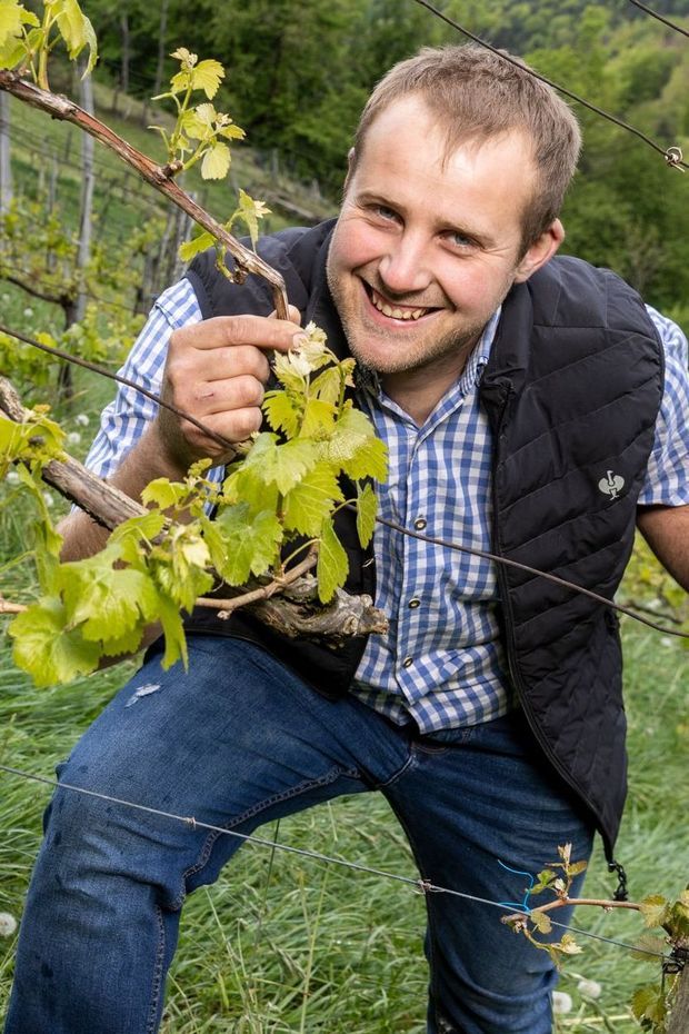 Domenik – der freche Weinbauer